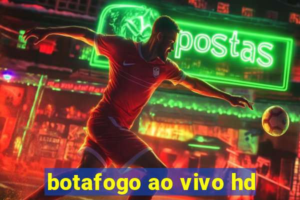 botafogo ao vivo hd